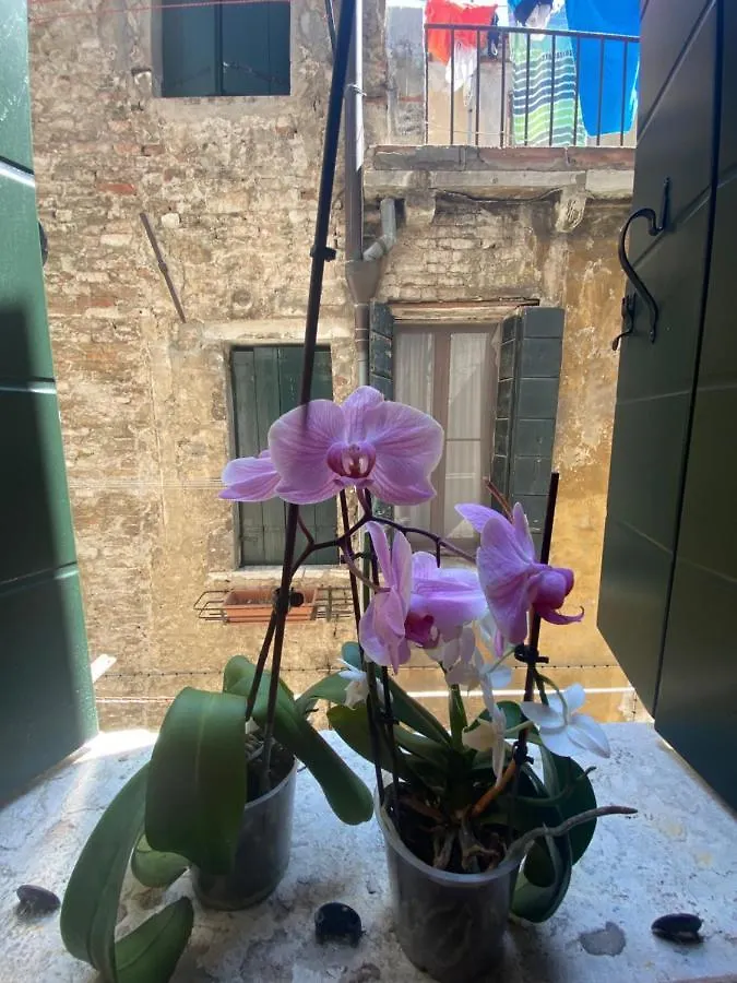 Emma'S House Apartment Venice 0*,